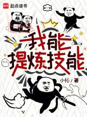 我能提炼技能TXT免费