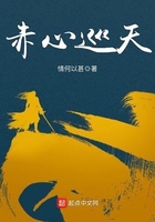 赤心巡天讲的是什么故事