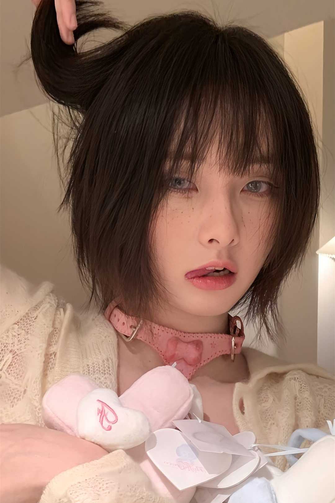 宋黎盛辞陆子衡