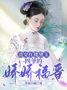 清穿红楼黛玉四爷的娇娇福晋乔家小缘